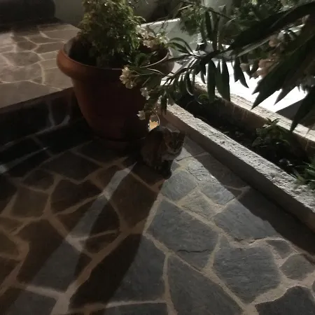 Hotel Flisvos Megalochori (Agistri)